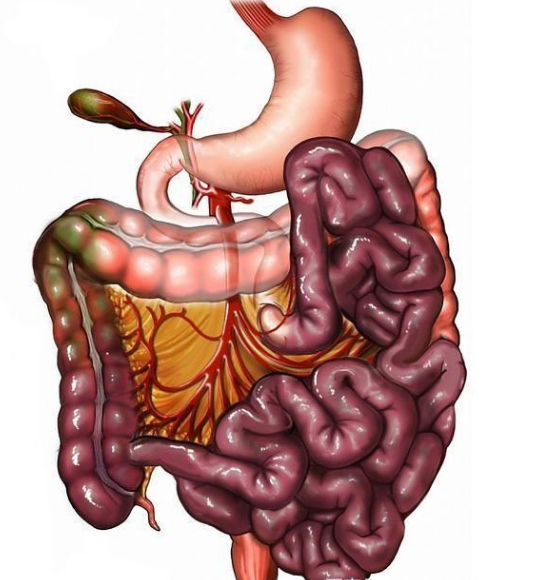 腸息肉者，排便出現3個(gè)異常，十有八九息肉已變成“癌”